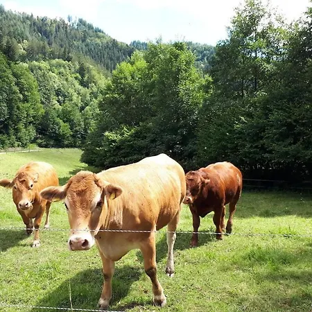 Prázdninový dům Small But Comfortable *